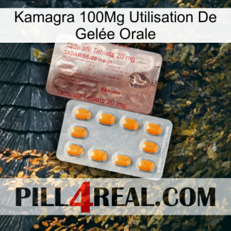 Kamagra 100Mg Utilisation De Gelée Orale new13